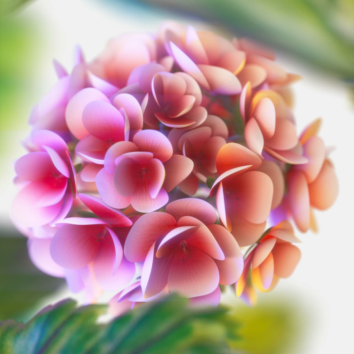 S05128468_3